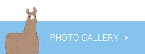 PHOTO GALLERY