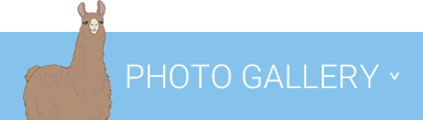 PHOTO GALLERY